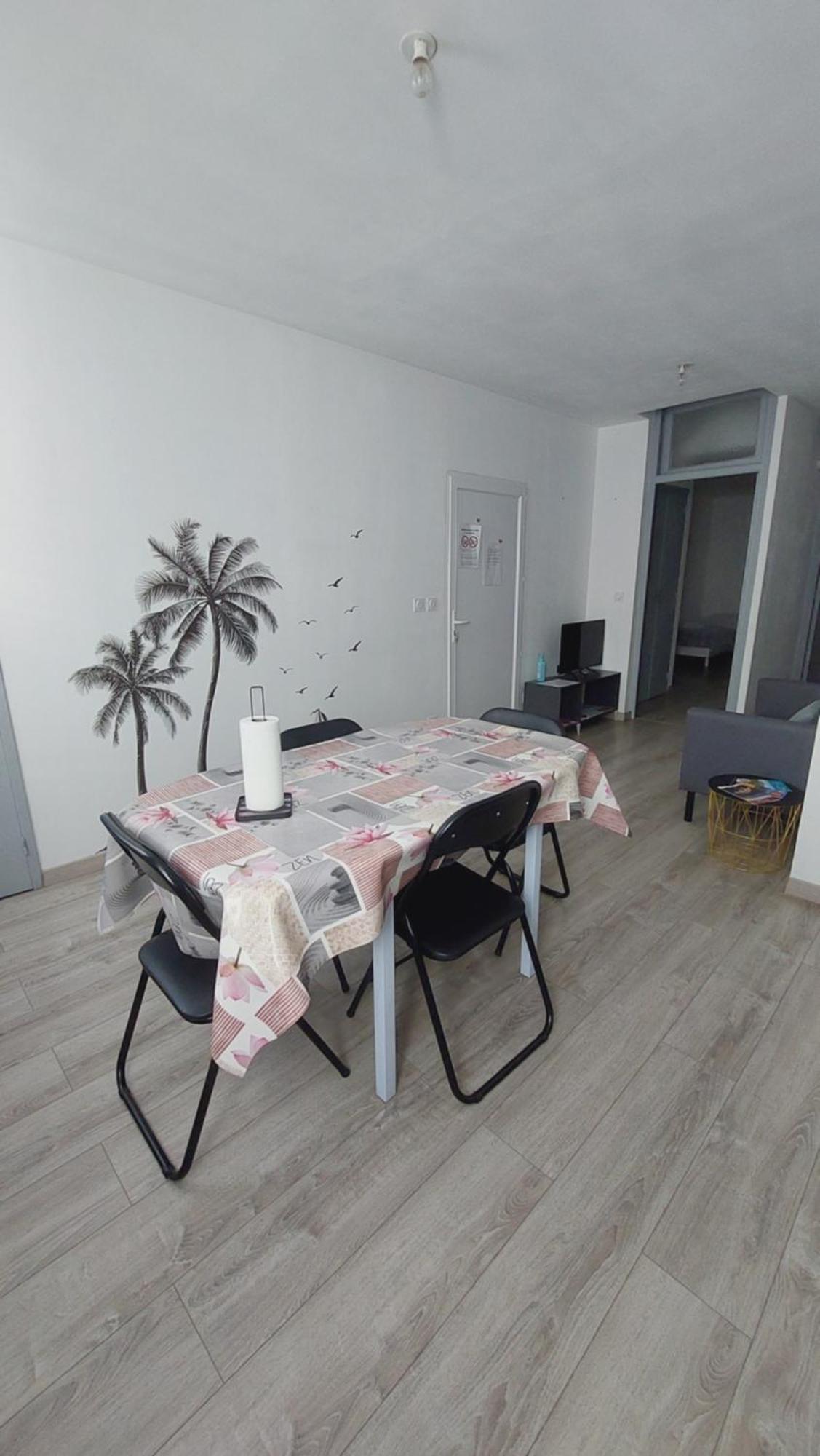 Chez Marie Appartement Centre Historique ペルピニャン エクステリア 写真